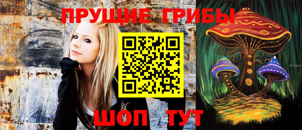 Галлюциногенные грибы прущие грибы  Вход с VPN  Кореновск  Псилоцибиновые грибы MAGIC MUSHROOMS 